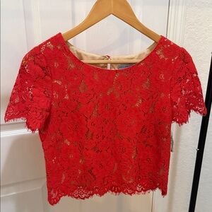 NWT ANTONIO MELANI Lace Floral Crop Top